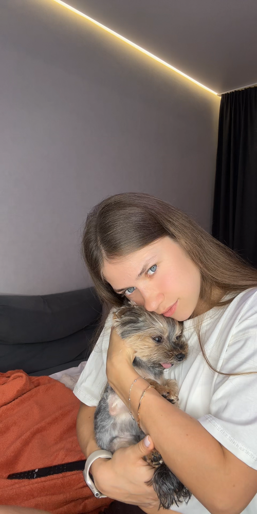 videoframe_2516537.png