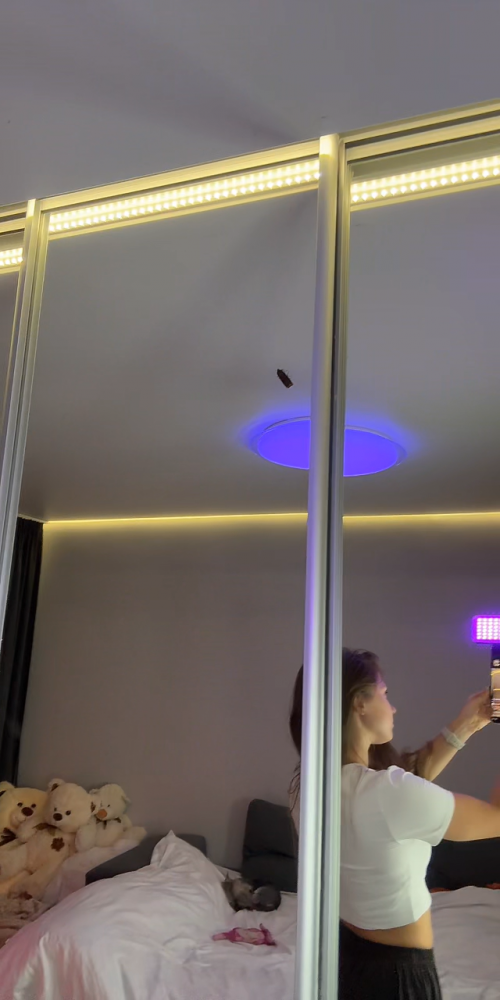 videoframe_2791487.png