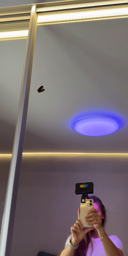 videoframe_2854666.png