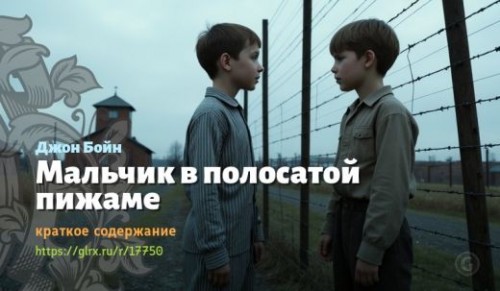 wt_malchik-v-polosatoy-pizhame-dzhona-boyna_17750852.jpg