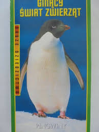 xccxxcxc.jpg