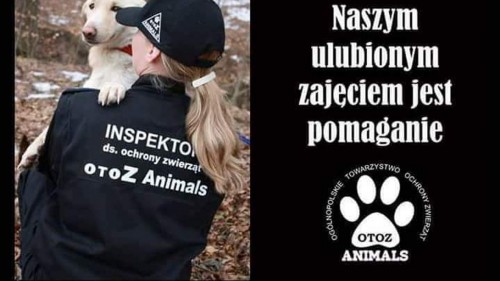 xga-16x9-otoz-animals-kedzierzyn-kozle-prosi-o-wsparcie-1701444317.jpg